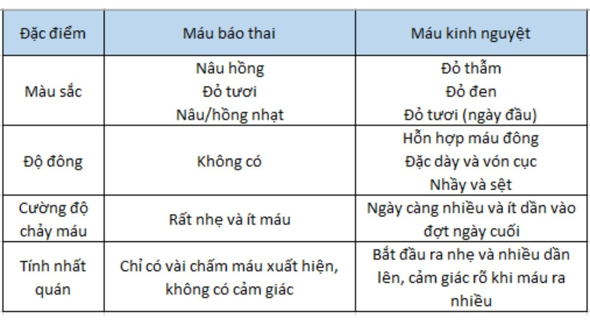 Bảng so sánh chi tiết sự khác biệt về tính chất giữa máu báo thai và máu kinh nguyệt